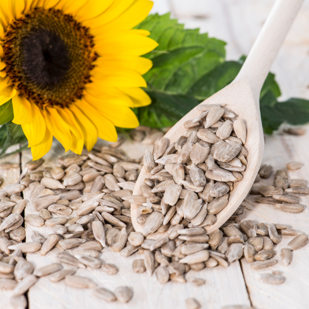 Organic Sunflower Seeds - Wisefoods Refillery