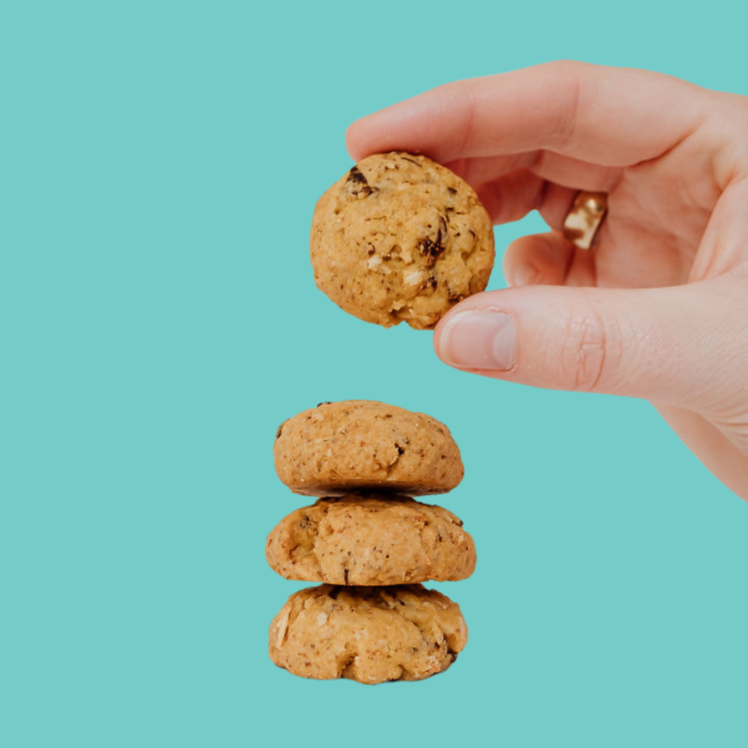 Apricot &amp; Lemon Wise Cookie Gift Jar