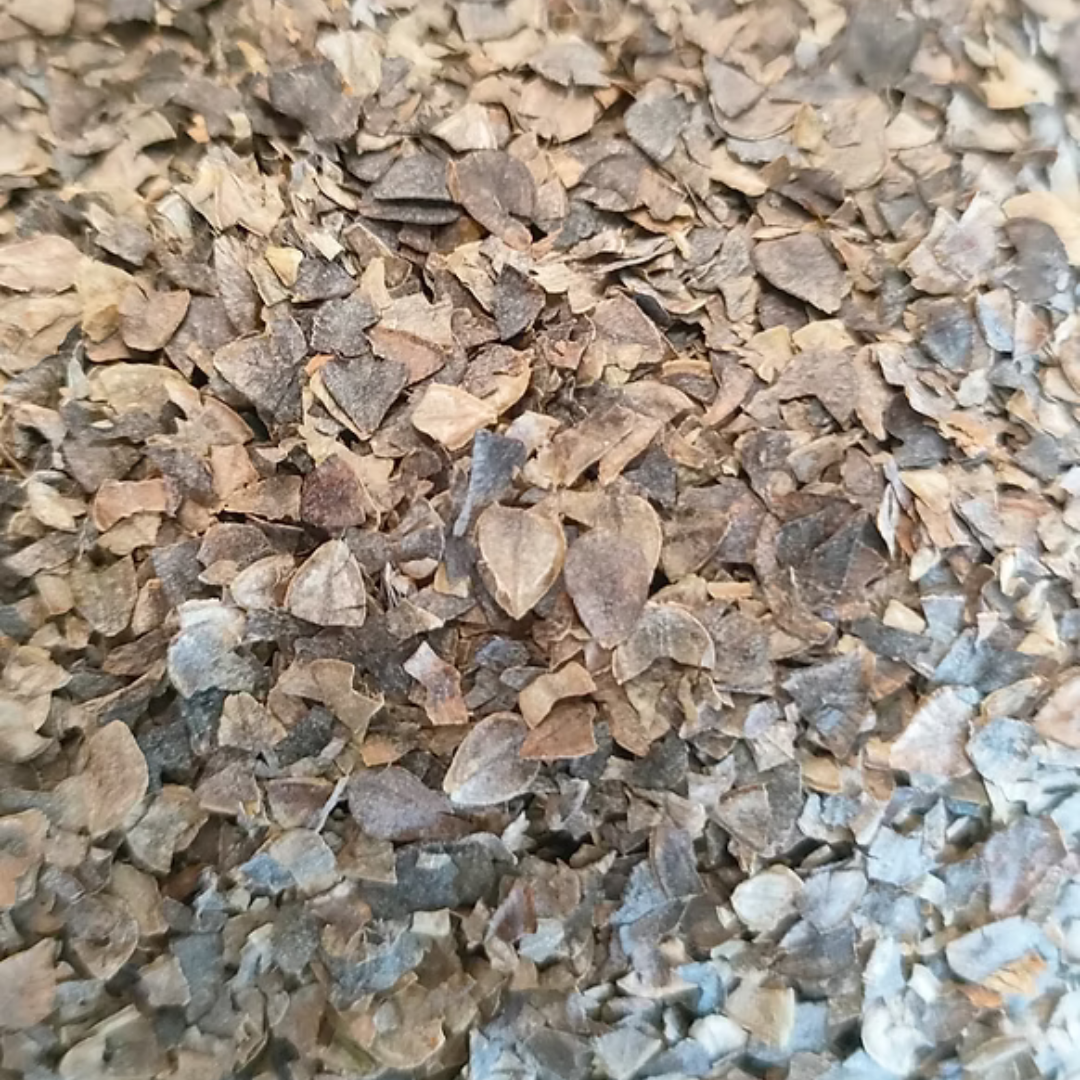 OMGoodness - Buckwheat Hull for Yoga Pillows - 10 kg Sack